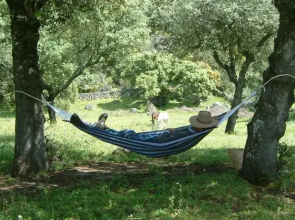 Finca al-manzil