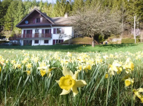 Le petit paradis