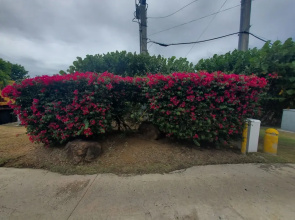 EliMar Bay View Apt