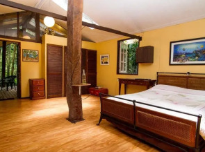 Rainforest Hideaway
