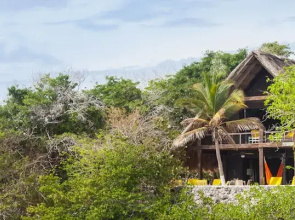 Isla Madre Selva