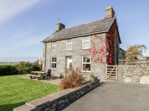 Tyddyn