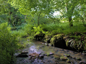 Ta Mill Holiday Cottages & Lodges - Forge Cottage