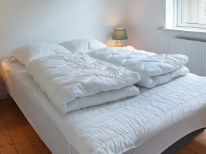 4 Person Holiday Home in Albaek