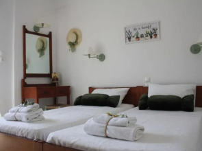 Olive apartment