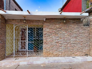 Jardin Benjamin TRINIDAD