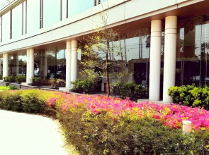 Hotel Welview Kagoshima