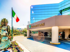 La Joya Pachuca
