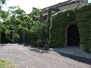 Bosco della Spina