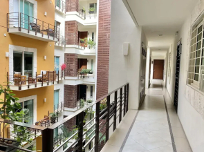 V399 - Casa Round Up