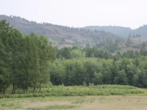 Altyin Ib Guest House	