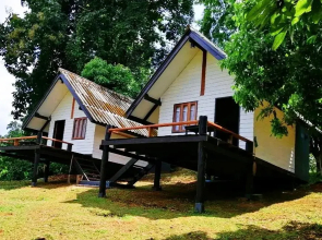 Jungle Guesthouse