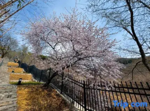 Hongqi Canal Research and Growth Camp Shanshui Residence