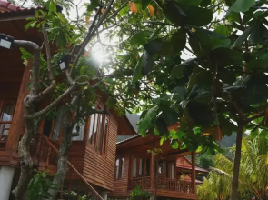 Cay Sao Phu Quoc