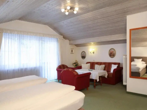 Hotel Steffl