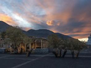 The Postcard in The Himalayan Willows