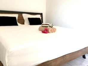 Iris suite