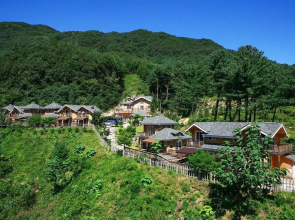 Bluemoon Pension