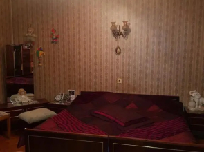 Hostel Sani