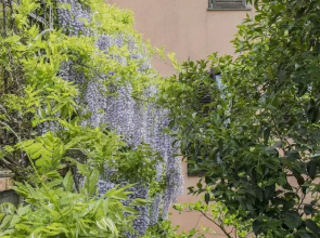 B&B Le buche Casa storica