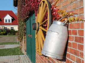 Cozy Apartment in Kühlungsborn near Golf Course