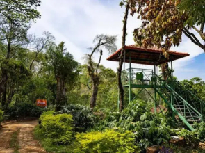 Zostel Coorg (Madikeri)