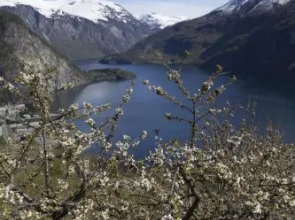 Valldal Camping