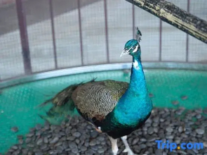 Nanchang Kaimei Hotel (bayiguangchangdian)