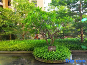 Beihai Yintan Linggan Seaview Homestay (International Passenger Transport Terminal Shop)