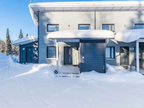 Skivillas 78 ukkohalla (1)