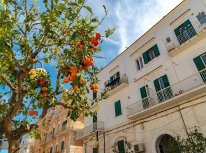 Villa Mapa - Appartamenti vicino al mare