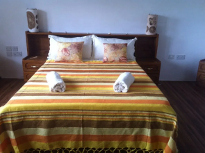 Seychelles Yellow Petals