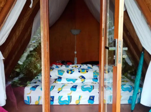 ECO Bedugul adventurer camp