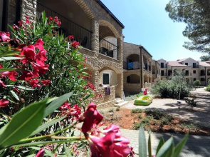 Zaton Apartment Near Sea Beach