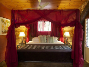 Cedar Park Rainforest Resort