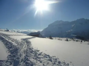 Residence Vajolet San Cassiano