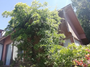 Wood Lake Bed & Breakfast