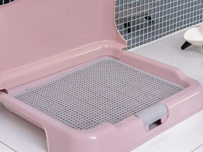 Gapyeong Dingdongdaeng Pet&spa Poolvilla