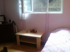 Guest House Tamuna Borjomi