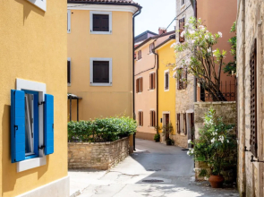 Apartment Olivo Novigrad (Istra) 22036