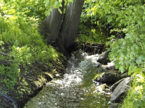 Stilvoll dem Urlaub Entgegen - App. 35 Ostseehafen