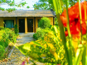 Riverside View Park Resort