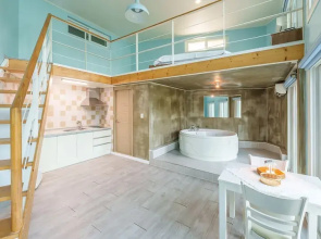Gapyeong Nami Island Pet-friendly Spa Pe