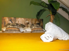 Villa « Fleur De Pirate »