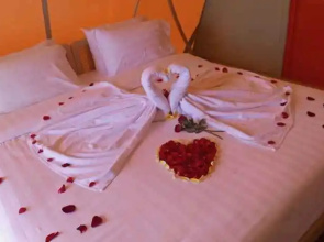 HeHa Ocean Glamping and Cabin