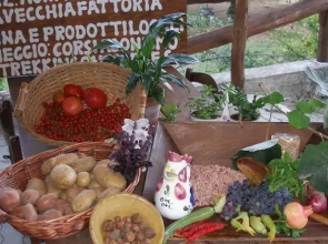 Az.Agr.La Vecchia Fattoria da Marica