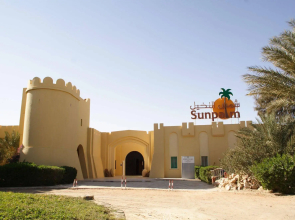 Sun Palm