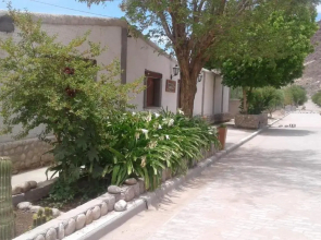 Cardones de Molinos