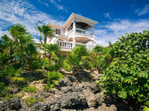 Coral Vista 3