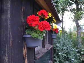 B&B De Vennesik - Rijssen, Overijssel